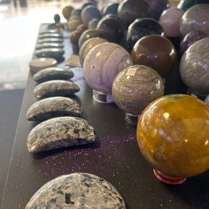 Meet your Posher, Holly